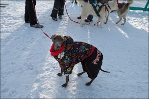 А.Хаснулин4