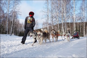 Александр Хаснудин2