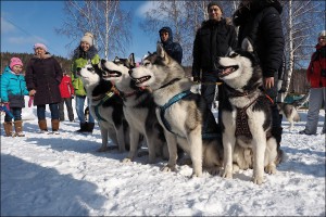 Александр Хаснулин