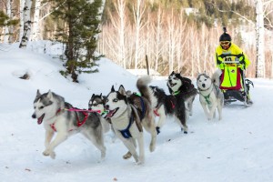 Олег Каргаполов