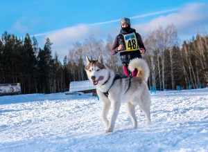 фото ЛКовалевой