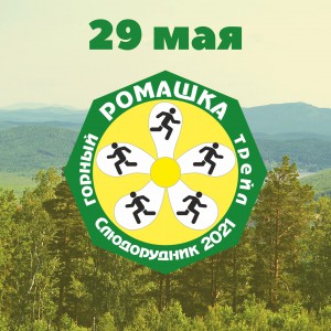 Синяя Круг Подсолнухи Весна Instagram Публикация