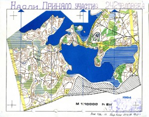 карта Касли